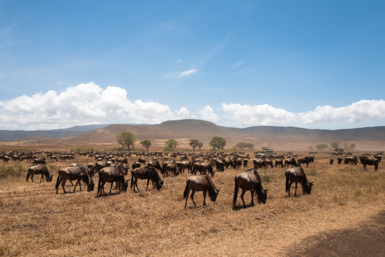 Ngorongoro Nationalpark